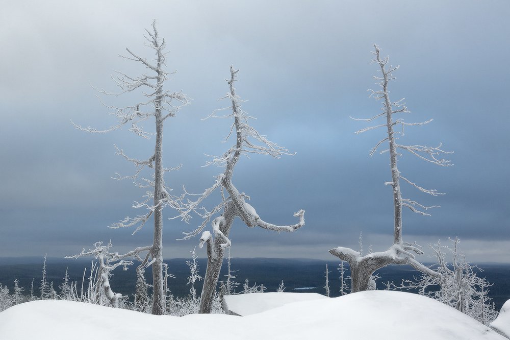 Photograph by Алексей Ретюнских