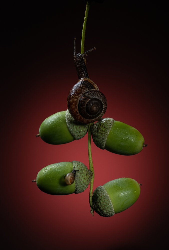 Photograph by Александр Мельник