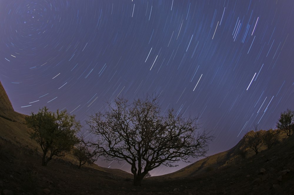 Photograph by Müjdat TÜRKMEN