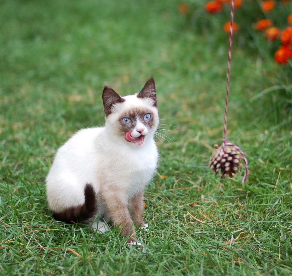 Photograph by Екатерина Иванова