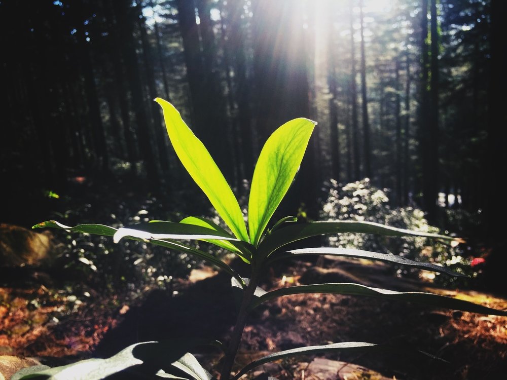 Photograph by Abhishek Amrit Mehra