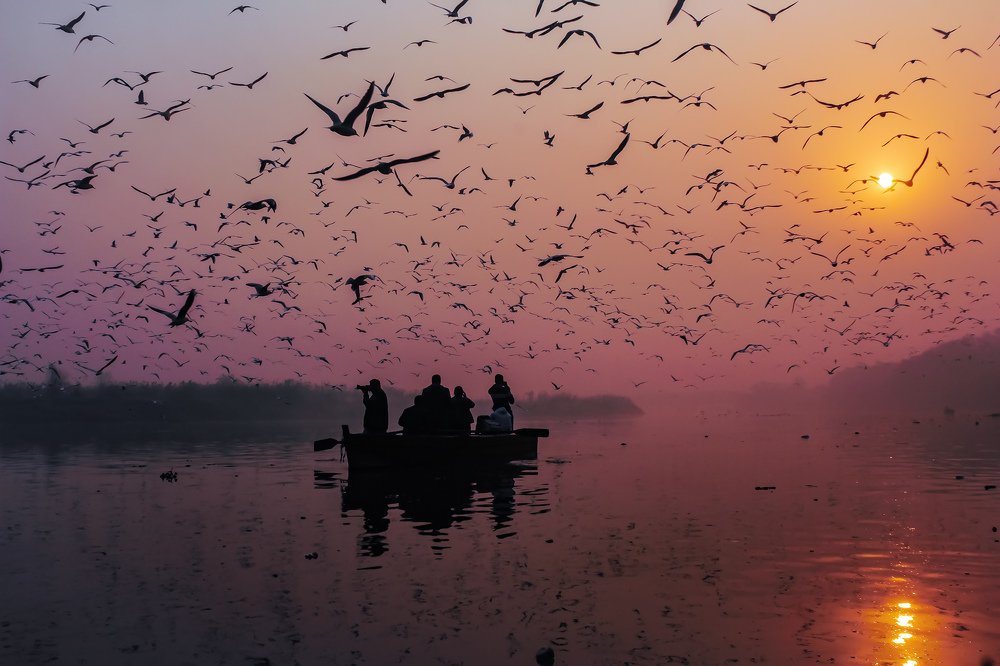 Photograph by Abhishek Amrit Mehra
