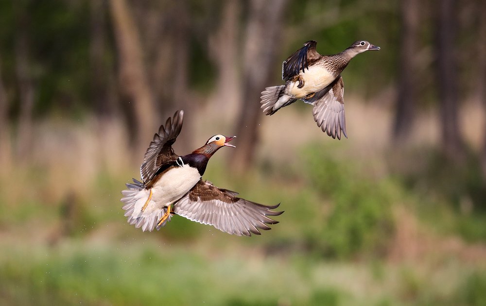 Photograph by Oleg Katugin