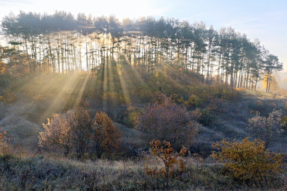 Photograph by Степанов Евгений