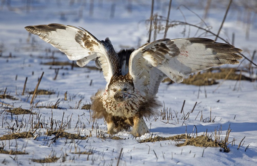 Photograph by Oleg Katugin