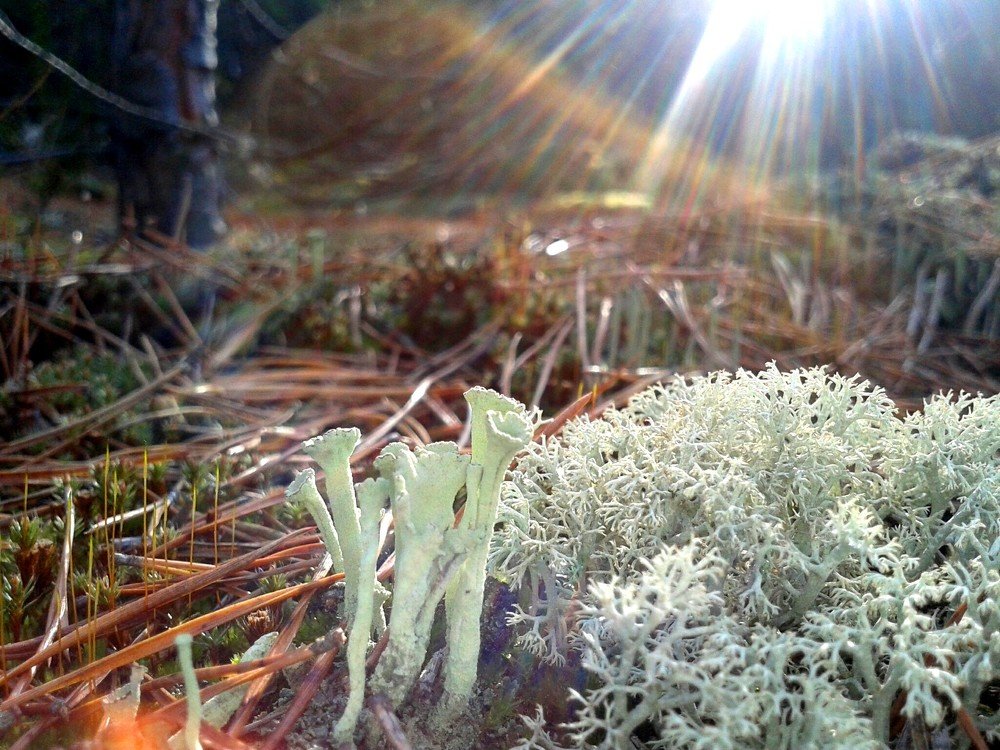 Photograph by Юлия Рыжман