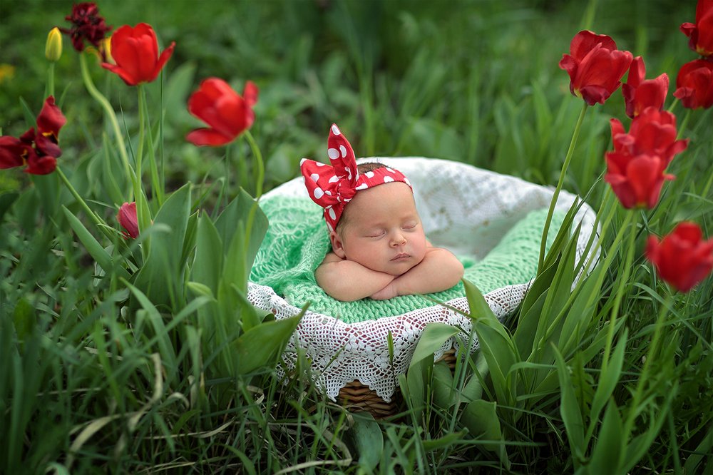 Photograph by Анна Ярунова