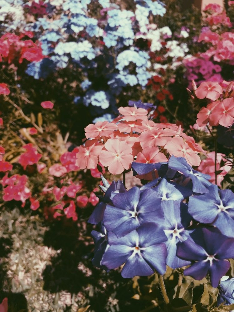 Photograph by Anh Duong Nguyen