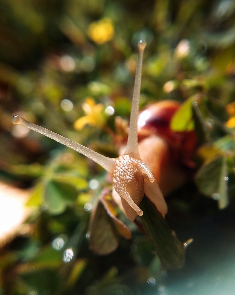 Photograph by Илья Гераськин