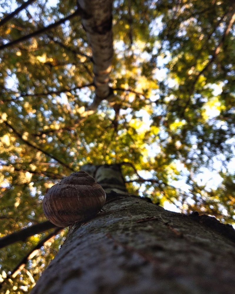 Photograph by Илья Гераськин