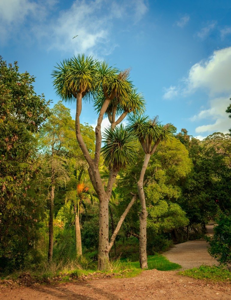 Photograph by YOUSSEF AZOUGAGH