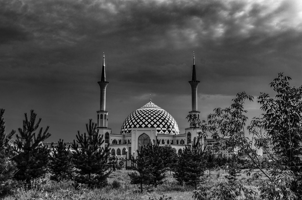 Photograph by Владимир Янчук