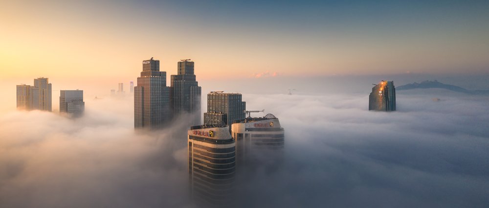 In the dreamy advection fog