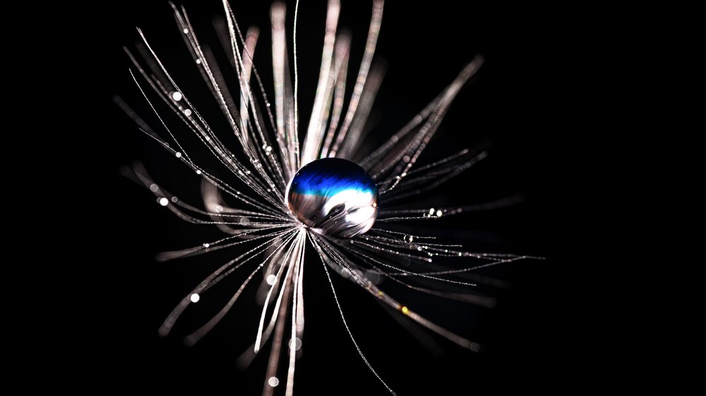 Фотография автора Андрей Сосновский