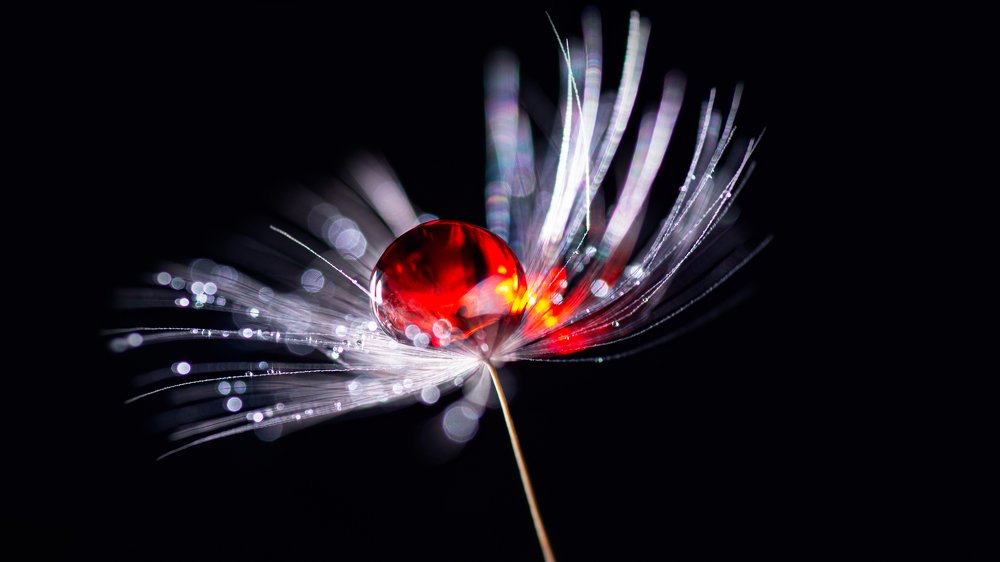 Фотография автора Андрей Сосновский