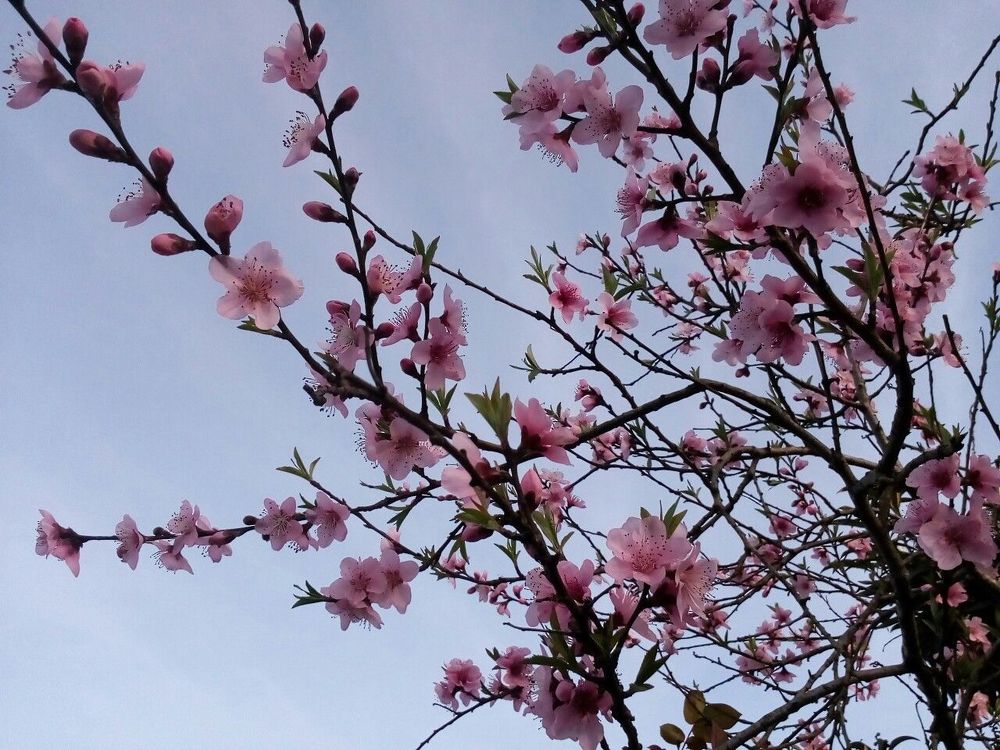 Photograph by Nikolozi Berishvili