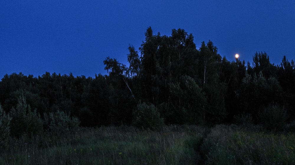 Фотография автора Александр Стоялов