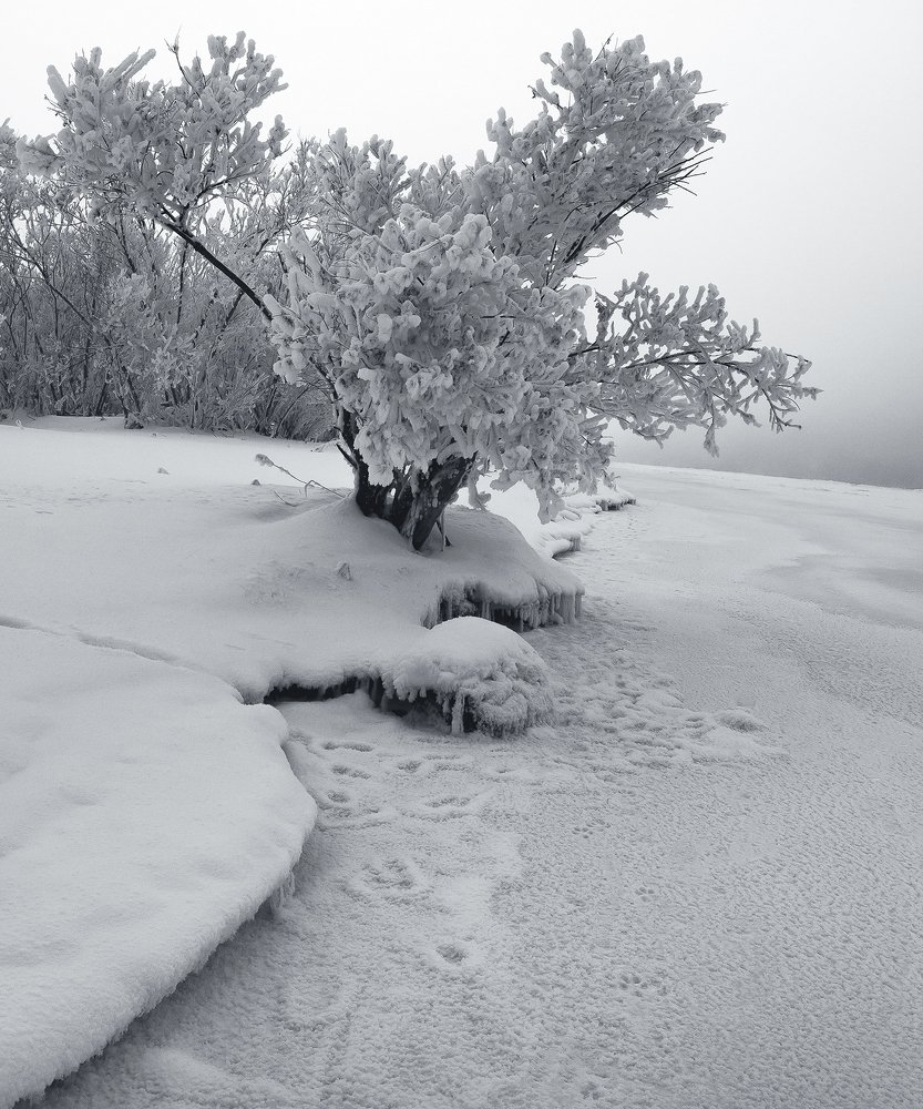 Photograph by Олег Тетерин