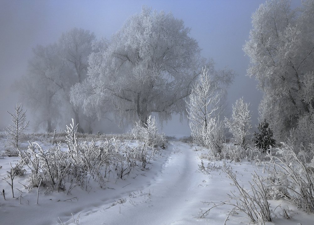 Photograph by Олег Тетерин