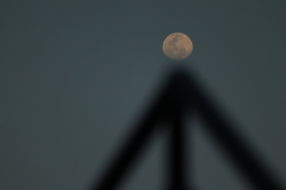 Photograph by Alka Priyadarshinee