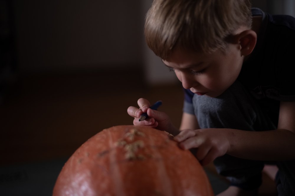 Photograph by Anastasia Hölzer