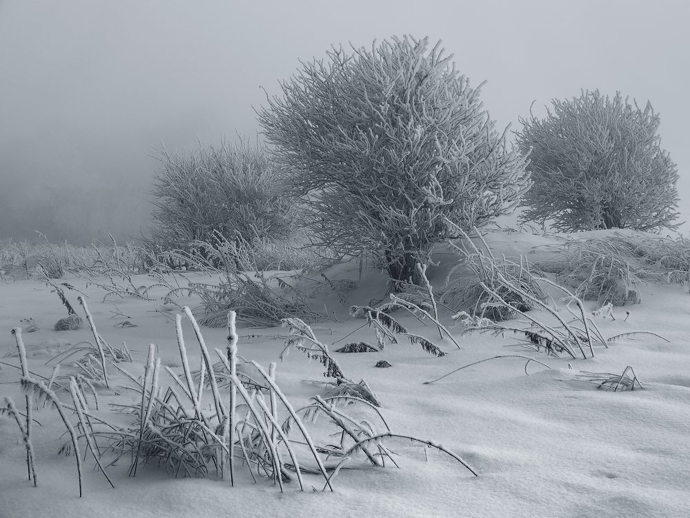 Photograph by Олег Тетерин