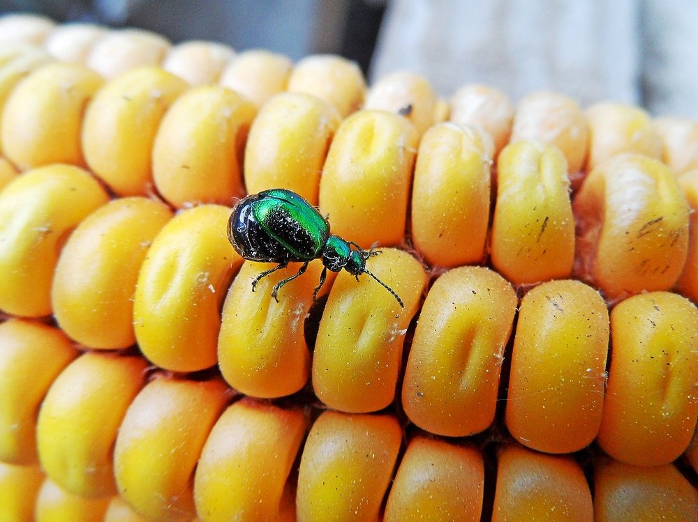 Фотография автора Valery Bel@kov