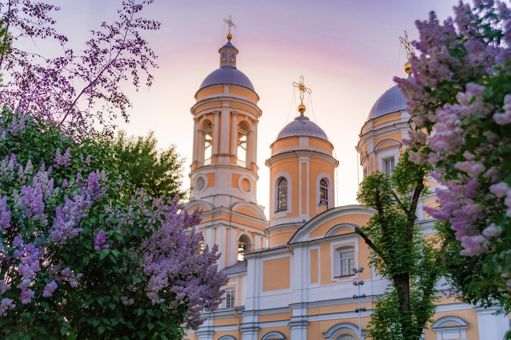 Photograph by Ольга Шацкая