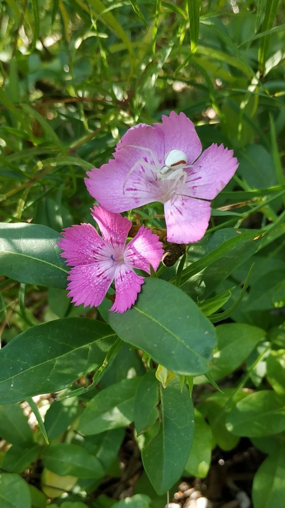 Фотография автора Андрей Шевцов