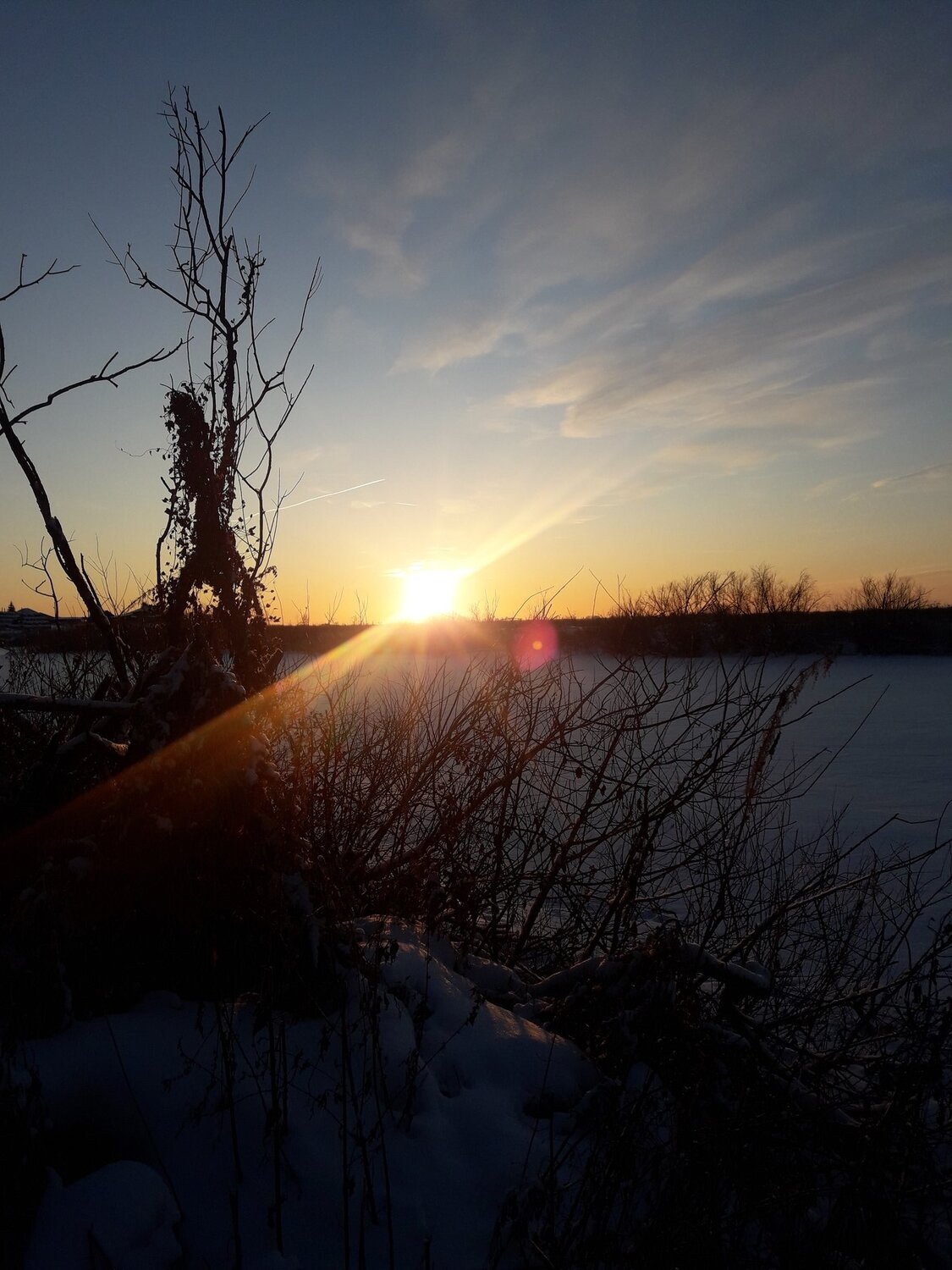 Photo #4321386