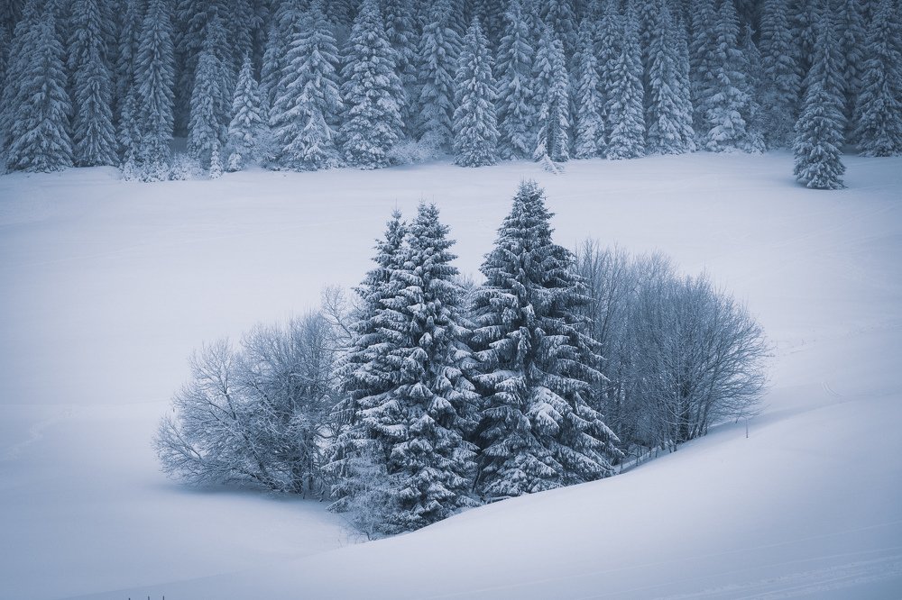 Photograph by Michael Westphal