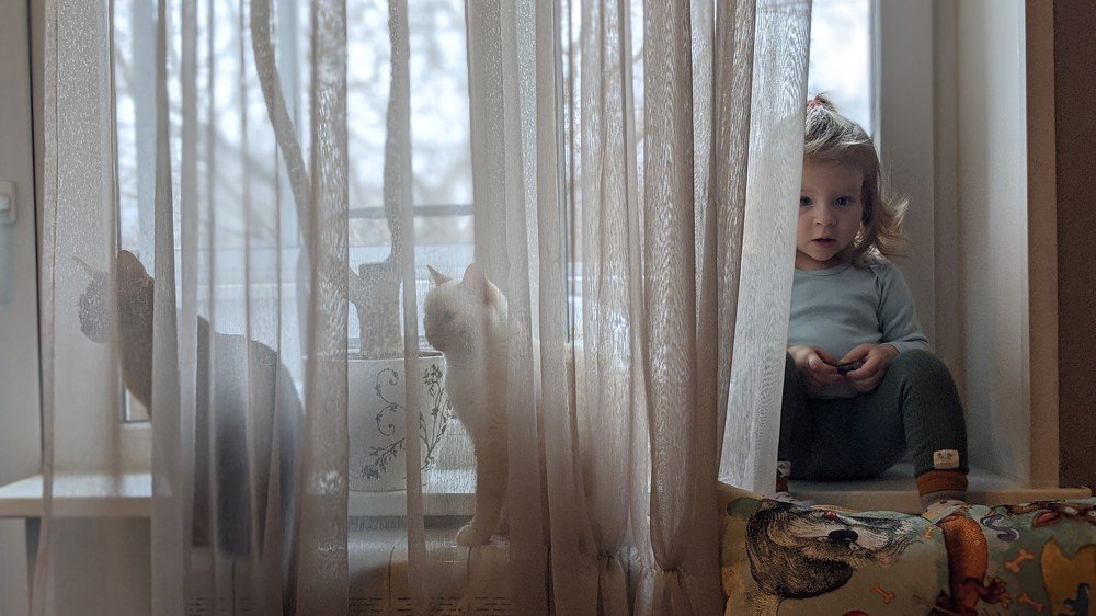 Photo #4321390