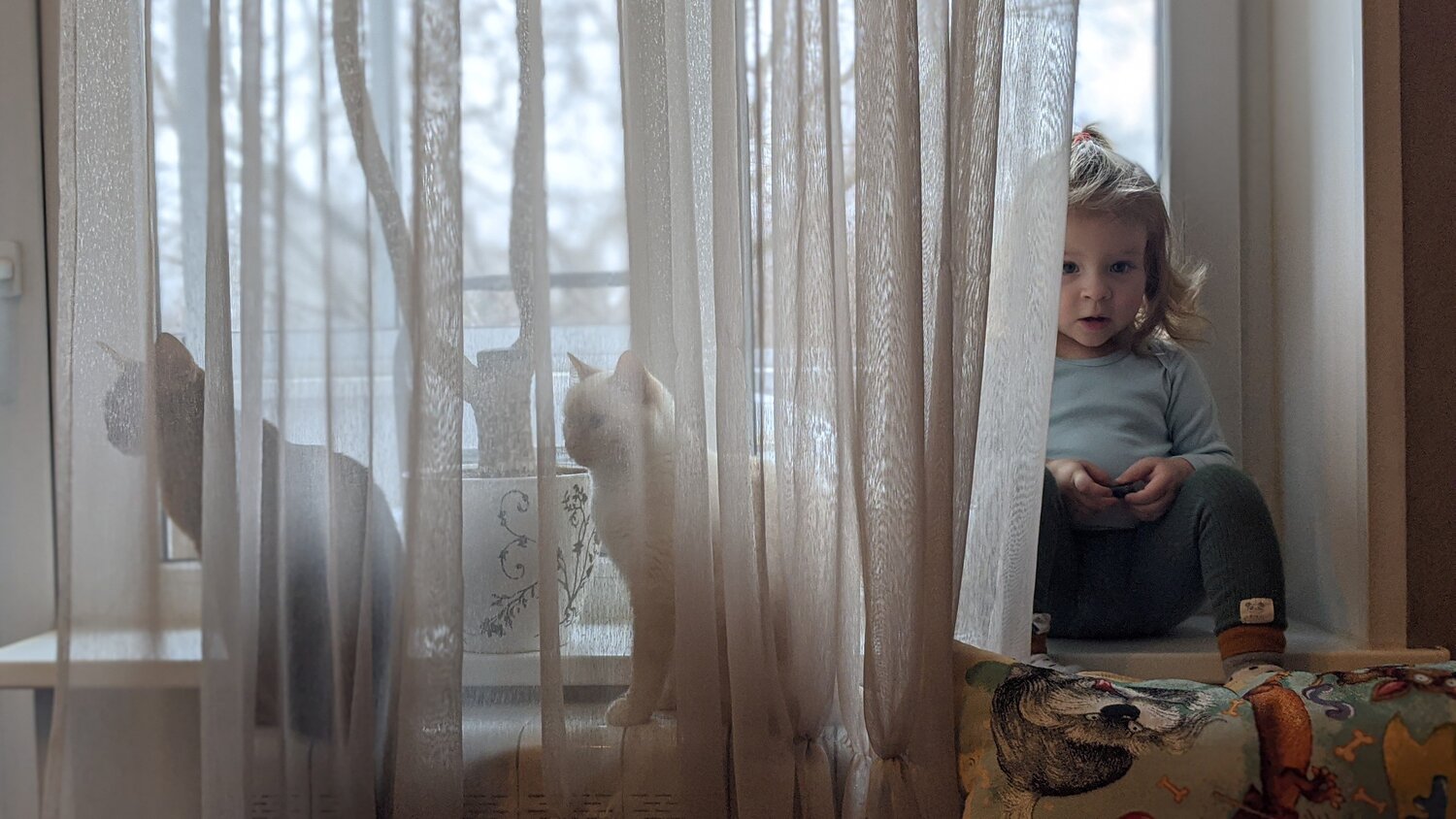 Photo #4321390