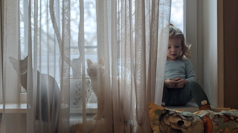 Photo #4321391