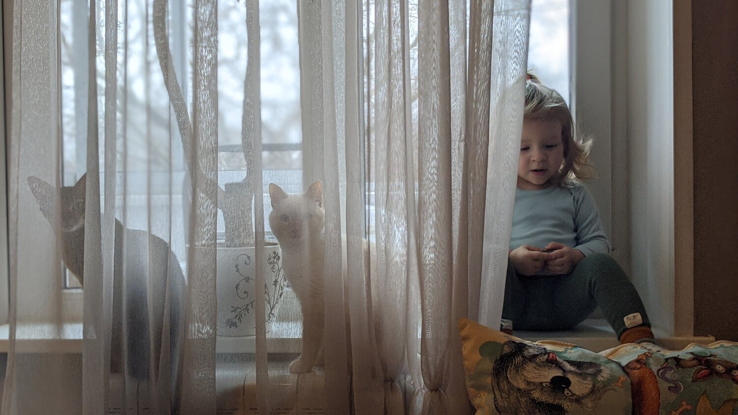 Photo #4321391