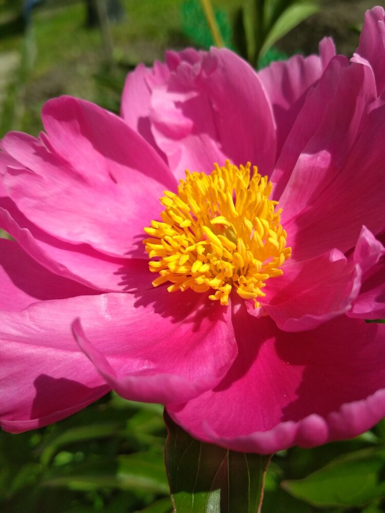 Photograph by Ольга Журавлева