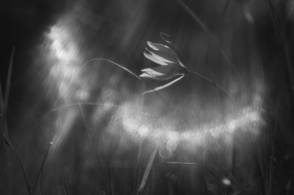 Фотография автора Игорь Баранов