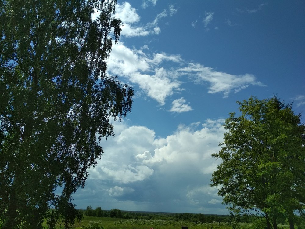 Photograph by Ольга Журавлева