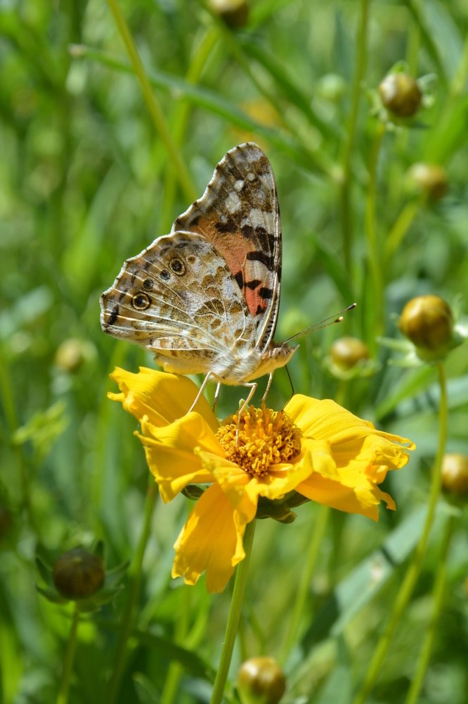 Photograph by Татьяна Кабанец