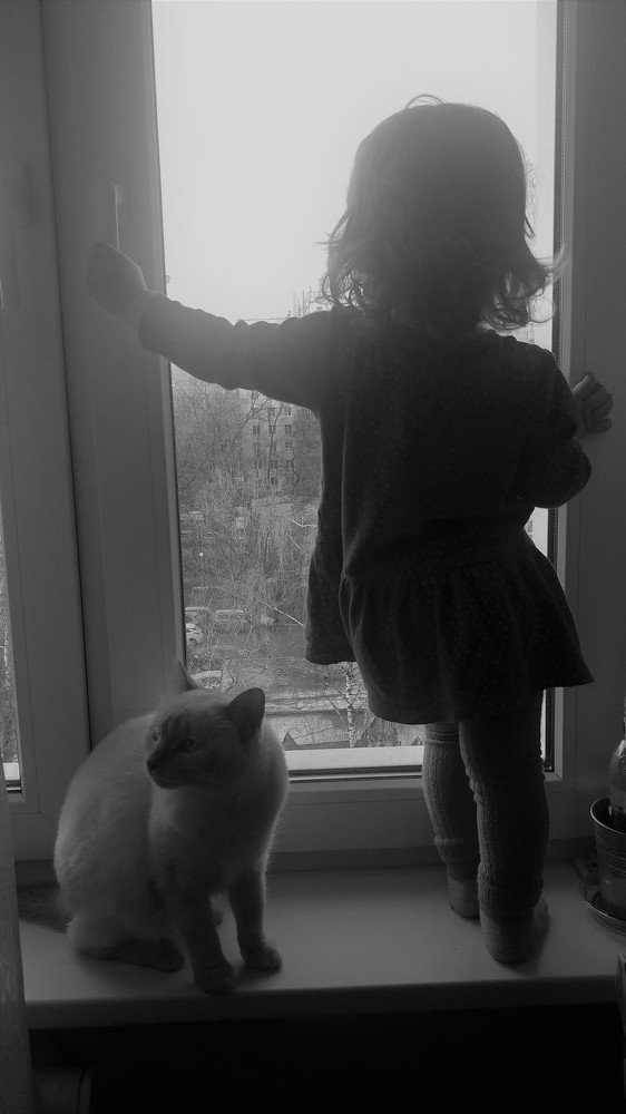 Photo #4321595