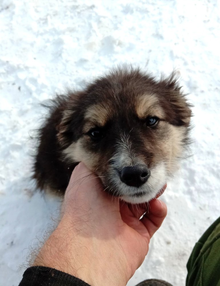 Фотография автора Сергей Ляшко