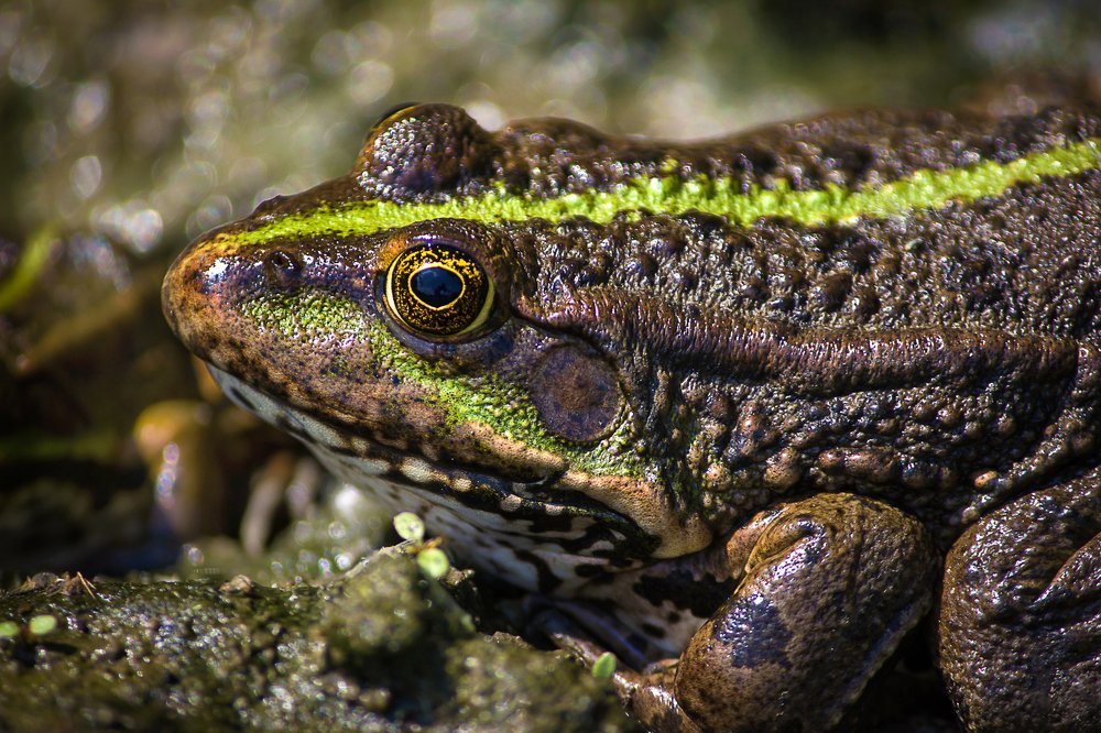 Photograph by Александр