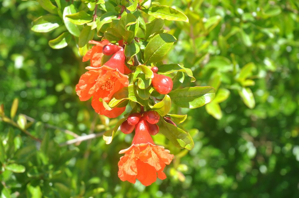 Photograph by Нуриля Аметакунова