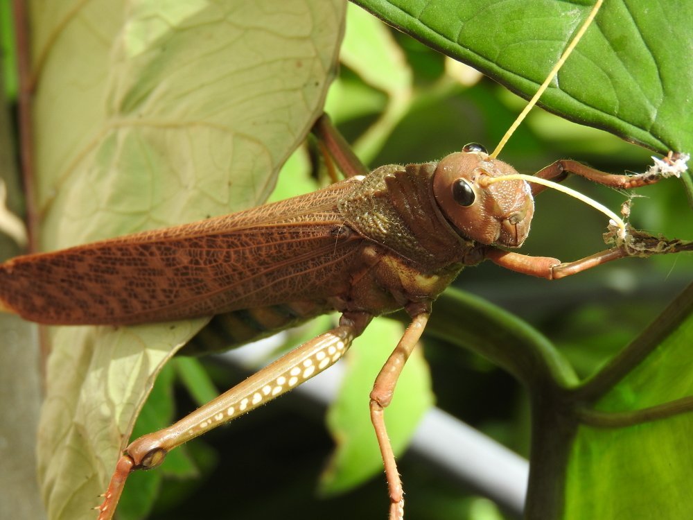 Photograph by Cristina Bosio Ferrer