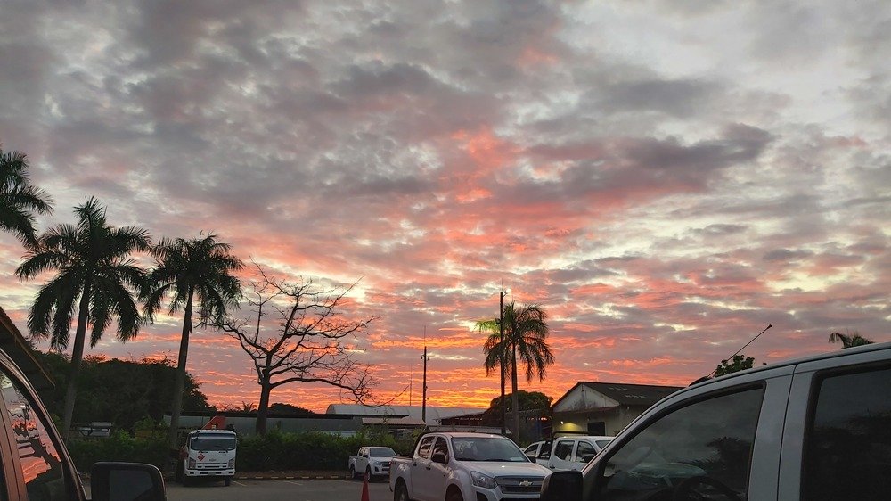Photo #4321843
