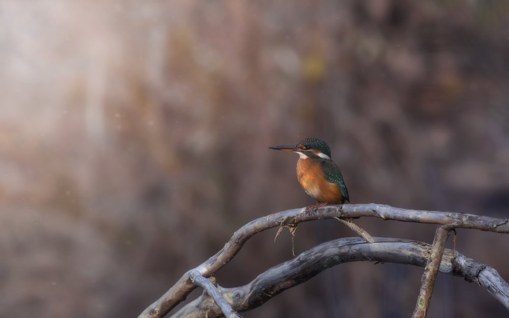 Передышка...