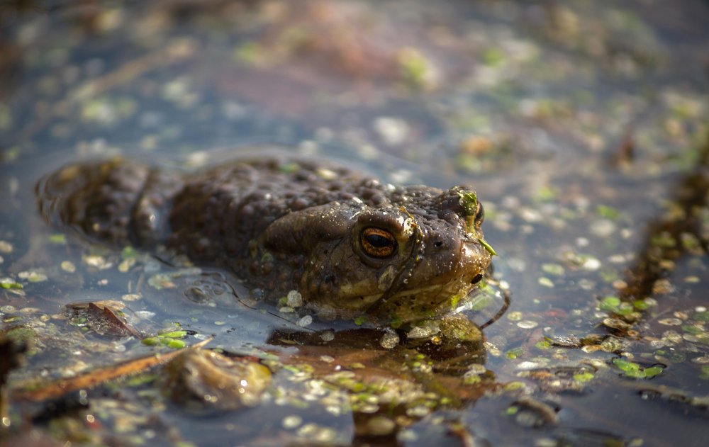 Photograph by Александр