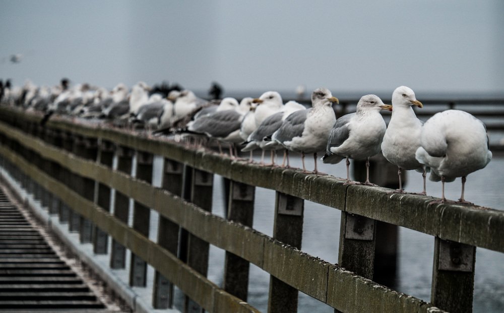 Фотография автора Nicole Sunshine Riddle