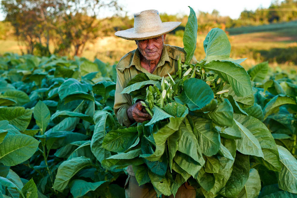 Photograph by Jevgenija Sepeliova