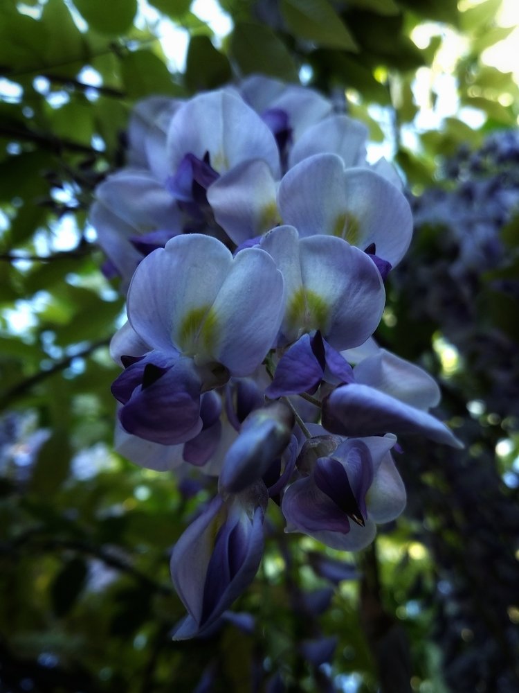 Photograph by Илья Гераськин